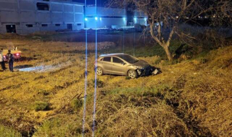 Bursa'da köpeğe çarpan otomobil şarampole uçtu 