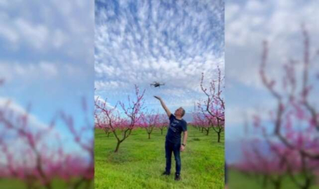 Bursa'da meyve ağaçları kartpostallık görüntüler oluşturdu  