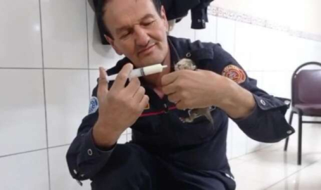 Bursa'da araçta sıkışan 3 yavru kedi kurtarıldı