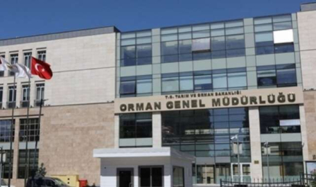 Orman Genel Müdürlüğü'nün birimlerinde değişiklik 