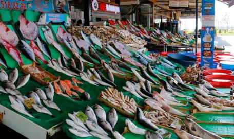 Denizlerde av yasağı başlıyor 