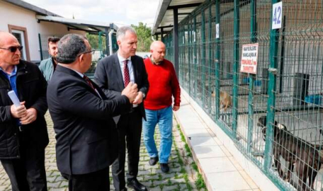 İnegöl Belediyesi’nden yasaklı ırk köpekler için çağrı  
