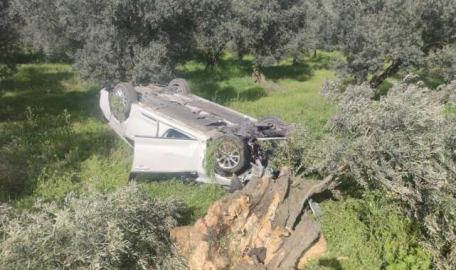 Bursa'da otomobil zeytinliğe uçtu!