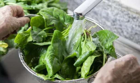 Ispanakta hastalık tehlikesi: Sakın tüketmeyin