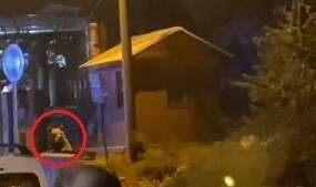 Uludağ'da günübirlikçi tatilcilerin panik anları 