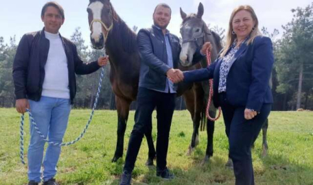 Uludağ Üniversitesi'nde tay satışı devam ediyor   
