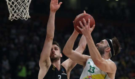 Timsah potada tarih yazdı