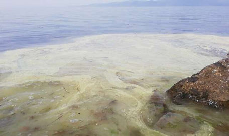 Bursa'da kabus geri döndü 
