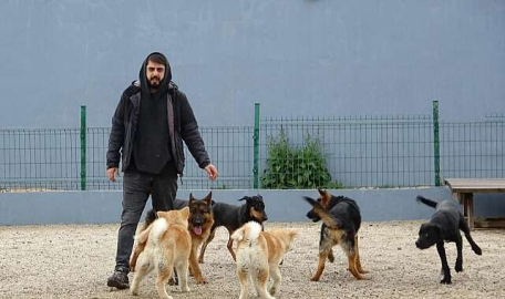 Bayram öncesi köpek otellerinde yer kalmadı  