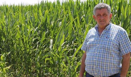 Dünyanın mısırı Yenişehir’de üretiliyor  