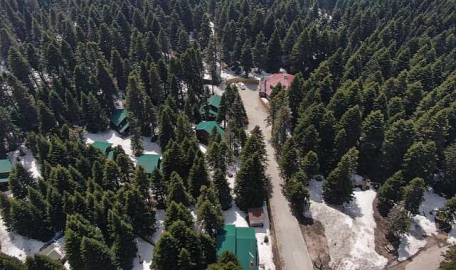 Uludağ'ın orman köşkleri bayram ve yaza hazır  