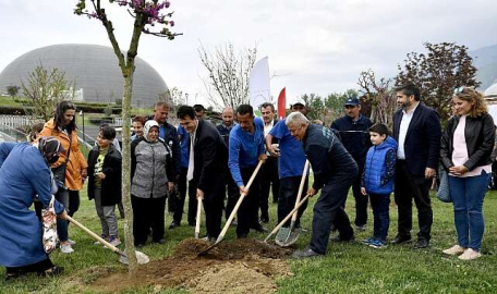 Bursa'daki Erguvan Ağacı Bayramı'ndan renkli görüntüler