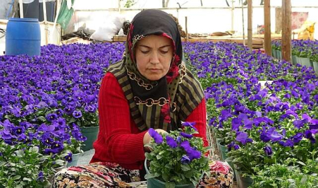 Yılda 6 milyon liralık üretim... Bursalı kadınların ellerinden çıkıyor