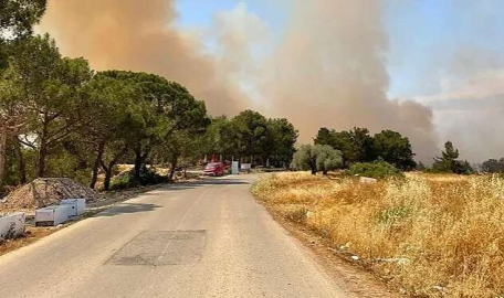 KKTC'de orman yangını! Türkiye'den helikopter gönderildi