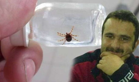 Sivas'ta bir kişi daha keneden öldü