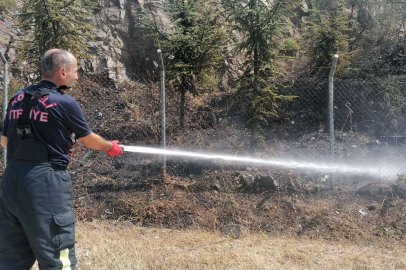 Elektrik akımına kapılan güvercin ağaçlık alanda yangın çıkardı