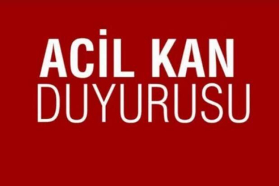 Bursa'da acil kan aranıyor