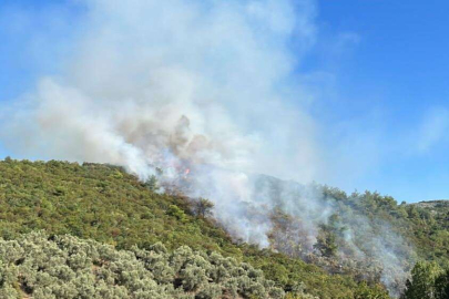 İznik'teki orman yangını kontrol altına alındı