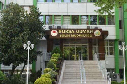 Fidan dikim hizmeti alınacaktır