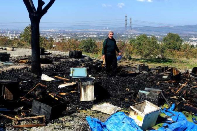 Bursa'da katliam: 400 kovan arıyı diri diri yaktılar