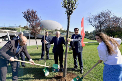 Bursa’nın erguvanları Almanya’da kök salacak
