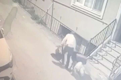 Binadaki tüm ayakkabıları pazar arabasına doldurdu