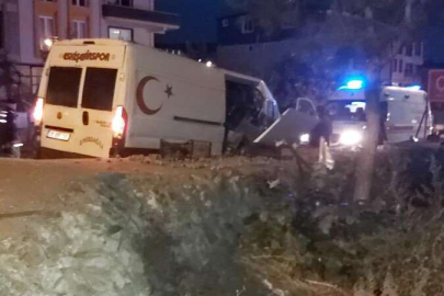 Bursa'da minibüs duvara çarptı, kiviler yola saçıldı