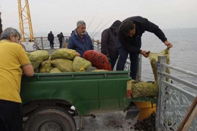 Bursa'da kaçak midye avcılarına operasyon