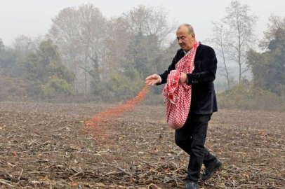 Mudanya Belediyesi buğday tohumlarını toprakla buluşturdu