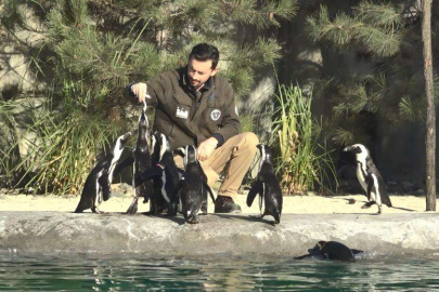 Afrika penguenlerinin günü Bursa'da kutlandı