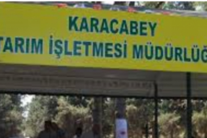 Karacabey Tarım İşletmesi Müdürlüğü'nden duyuru