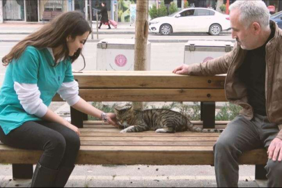 Gürsu’nun ‘Tatlı Serseri’si vatandaşın maskotu oldu
