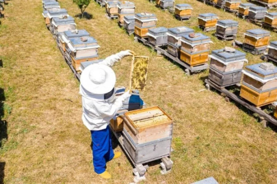 İnegöl Belediyesi 250 adet arı kovanı dağıtacak