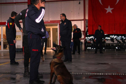 İtfaiye erinin eğittiği arama kurtarma köpekleri 18 kişinin hayatına dokundu