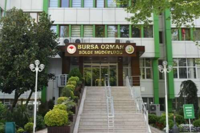 Bursa Orman Bölge Müdürlüğü’nden ihale duyurusu