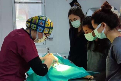 Veteriner fakültesi öğrencilerine uygulamalı eğitim