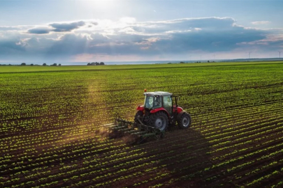Bilecik'te tarla mahkemeden satılacak