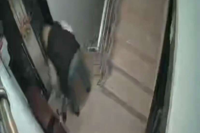 Bursa'da ayakkabı hırsızı kamerada