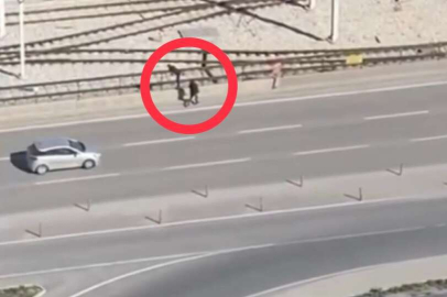 Bursa'da canlarını hiçe saydılar: Mazgal hırsızlığı böyle görüntülendi