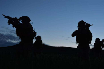 Pençe-Kilit operasyonu bölgesinde PKK'lı 2 terörist teslim oldu