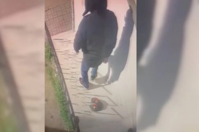 Bursa'da pişkin hırsız kamerada!