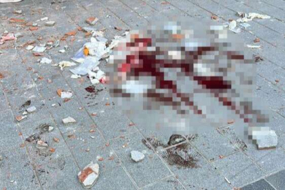 Kafasına tuğla düşen kadın hayatını kaybetti