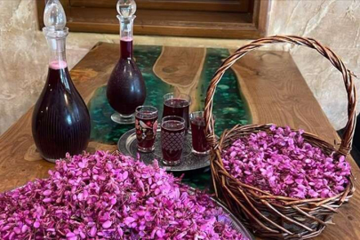 Erguvan sadece renk katmıyor şifa da oluyor