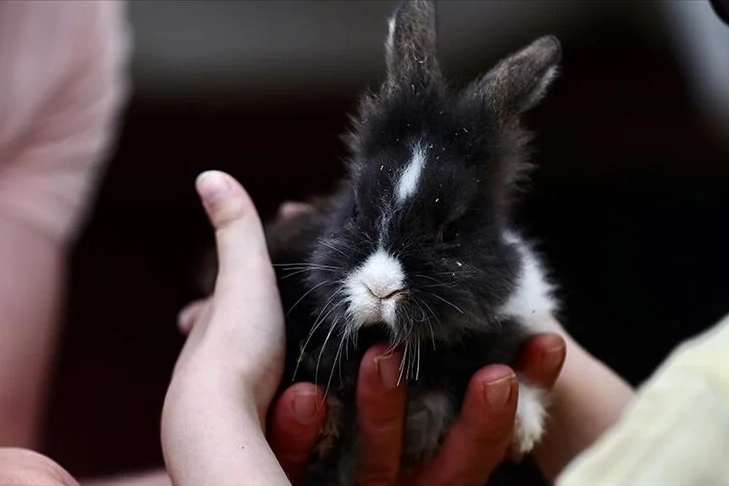 Özel öğrencilerin pofuduk dostları