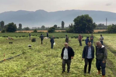 Bursa'da tarlaya yıldırım düştü: Kadın işçi hayatını kaybetti