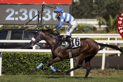 97. Gazi Koşusu'nun kazananı "Urfa Aslanı"