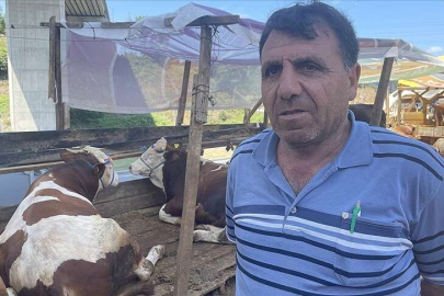 Kurban pazarlarında üreticiler satışlardan memnun
