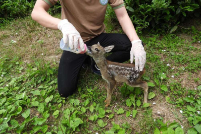 Kuyudan çıkarılan "Zümrüt" özenle bakılıyor