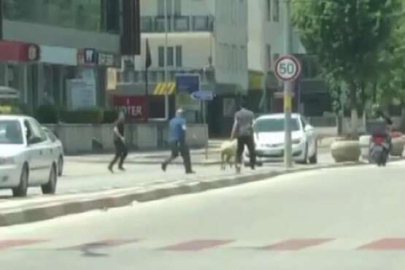 Bursa’da sahibinden kaçan koyun trafiği altüst etti