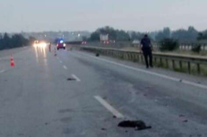 Tarım işçisi kadın, feci şekilde can verdi